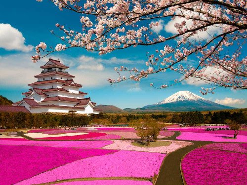 MIKATOUR  NINJA JAPON